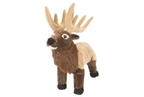Stuffed Animals
