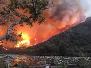 Fire Impacts Freshwater Resources