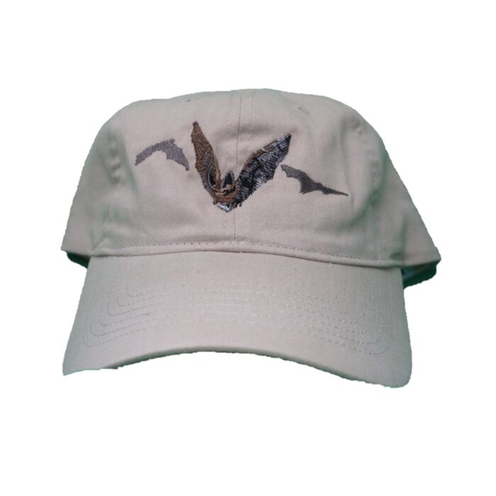 Adopt-A-Bat - Image 3
