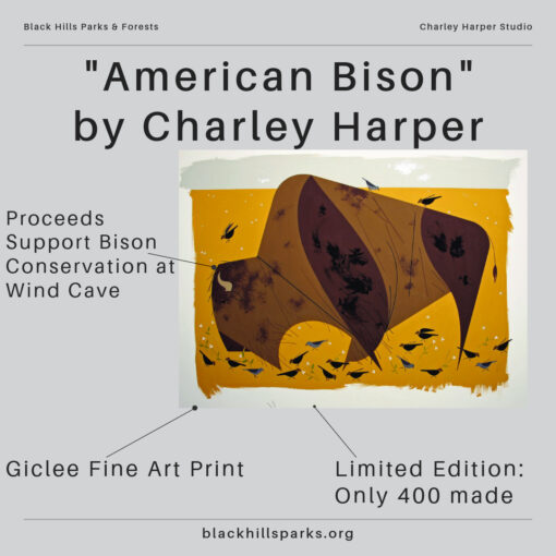 Promotional graphic featuring the 'American Bison' artwork by Charley Harper, a stylized depiction of a bison in shades of brown with blackbirds in flight, set against a golden yellow background. The text highlights that proceeds support bison conservation at Wind Cave, describes the artwork as a giclée fine art print, and notes it is a limited edition with only 400 made. The Black Hills Parks & Forests logo and website URL, blackhillparks.org, are displayed at the bottom.