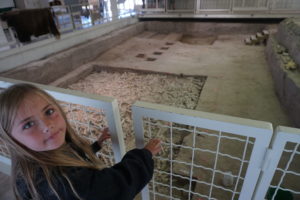 A young girl looking over an archeological site of ancient bison 