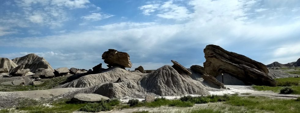 Nebraska National Forests & Grasslands - Black Hills Parks & Forests 