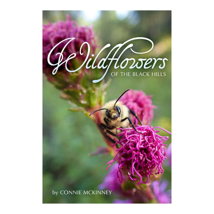 BH wildfowered cover