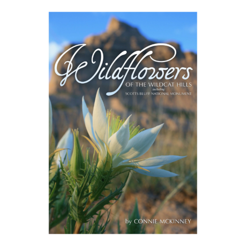 WH Wildflowers