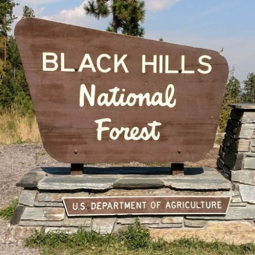 Black Hills National Forest