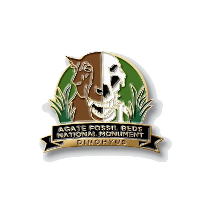 Agate Fossil Beds Dinohyus Pin