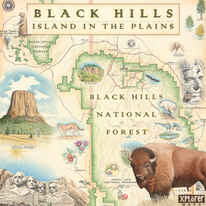 Black Hills Ceramic Coasters - Image 2