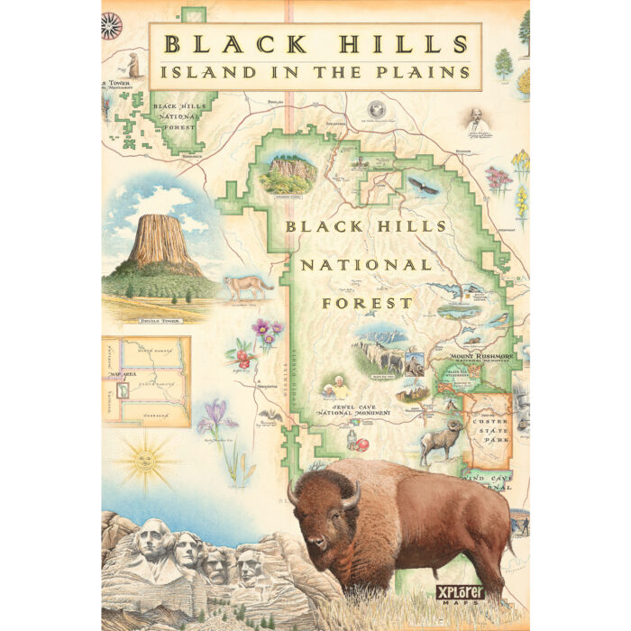 Black Hills National Forest Print