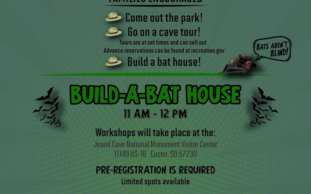 Jr. Ranger Day and Build-A-Bat House Workshop at Jewel Cave National Monument