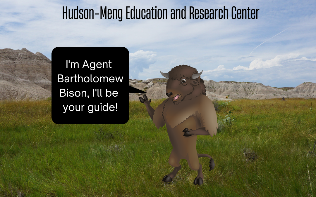 Hudson-Meng Education and Research Center of Nebraska National Forests and Grasslands will be open for select dates during the summer