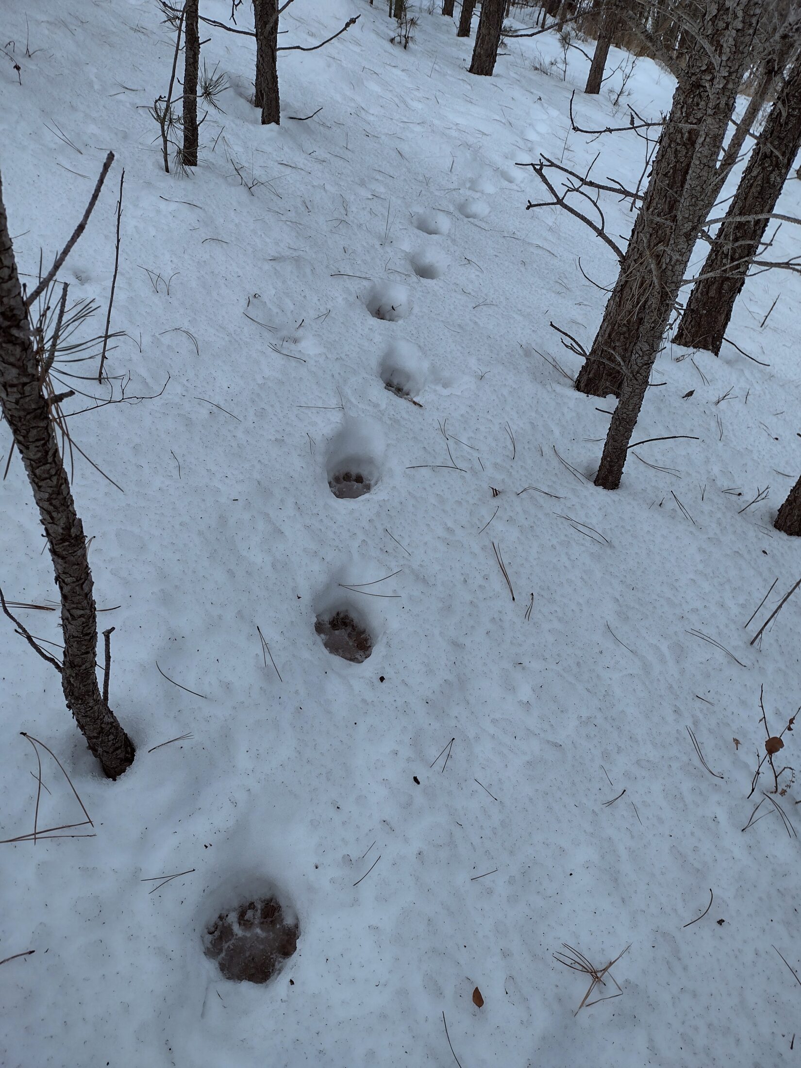 IMG_20211214_100404935_HDR