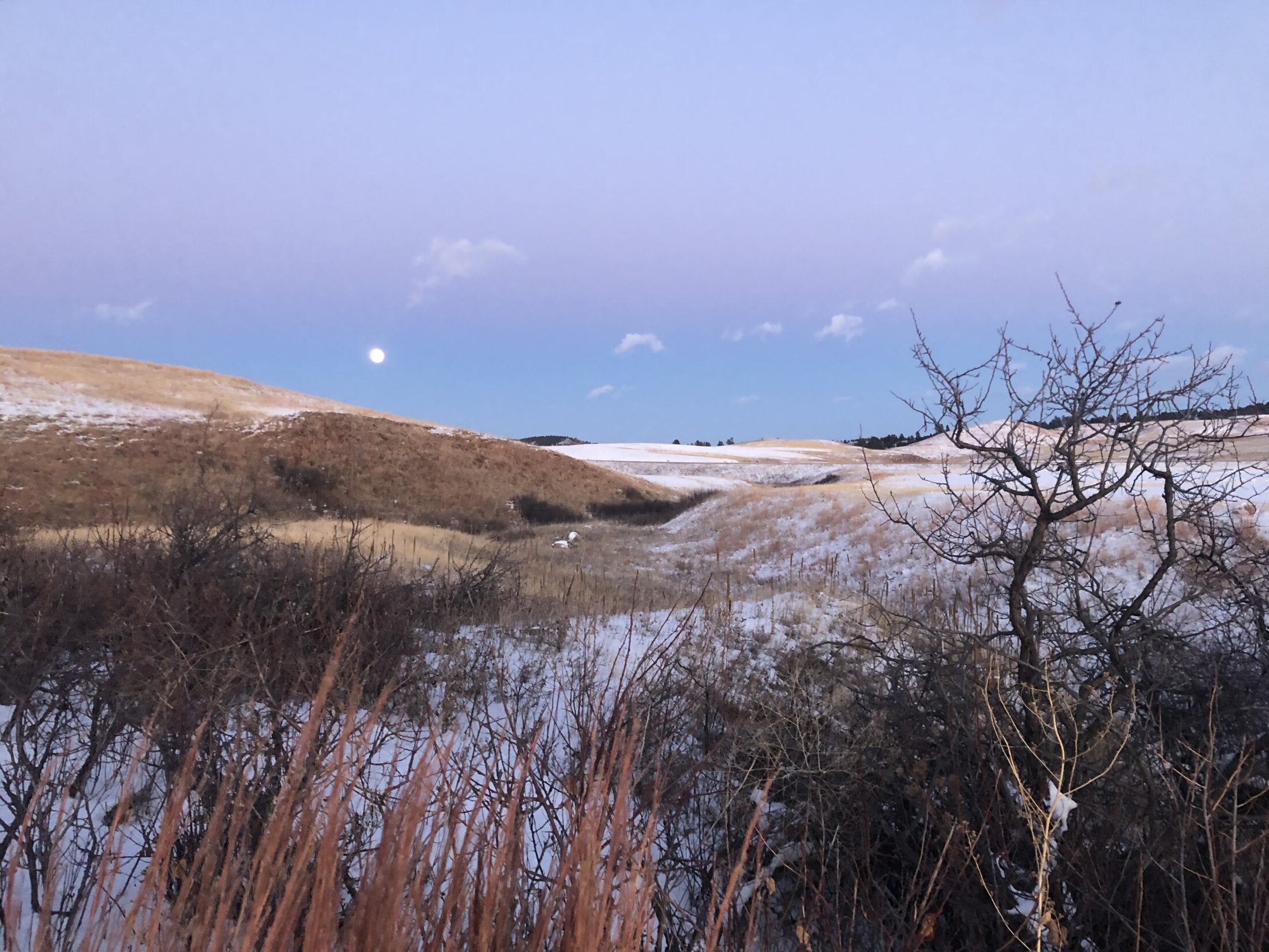 snowy moonrise