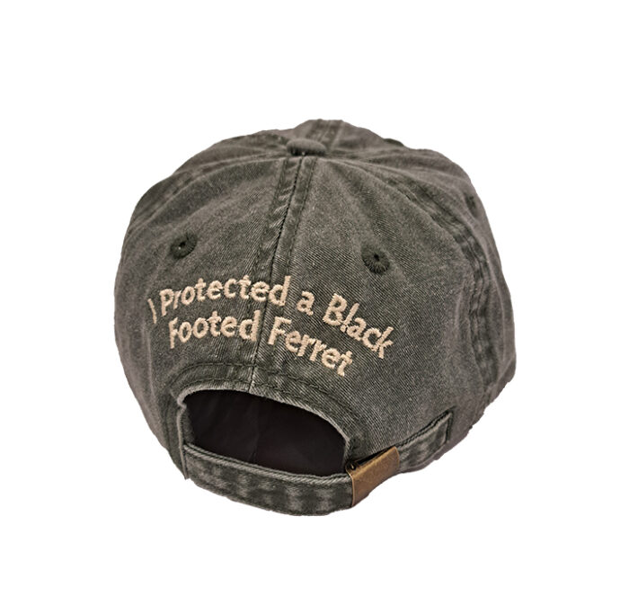 Black-Footed Ferret Protection Program - Image 3