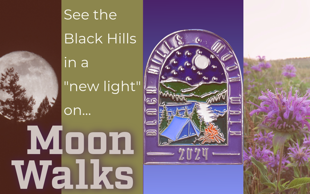 Moon Walks at Black Hills National Forest:  Embrace the Night!