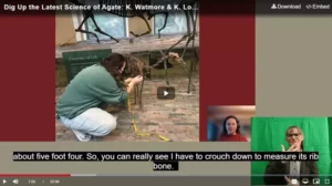 Youtube screenshot of an example national park accessibility video. Picture-in-picture layout with a park ranger signing in the bottom right, and closed captioning across the screen