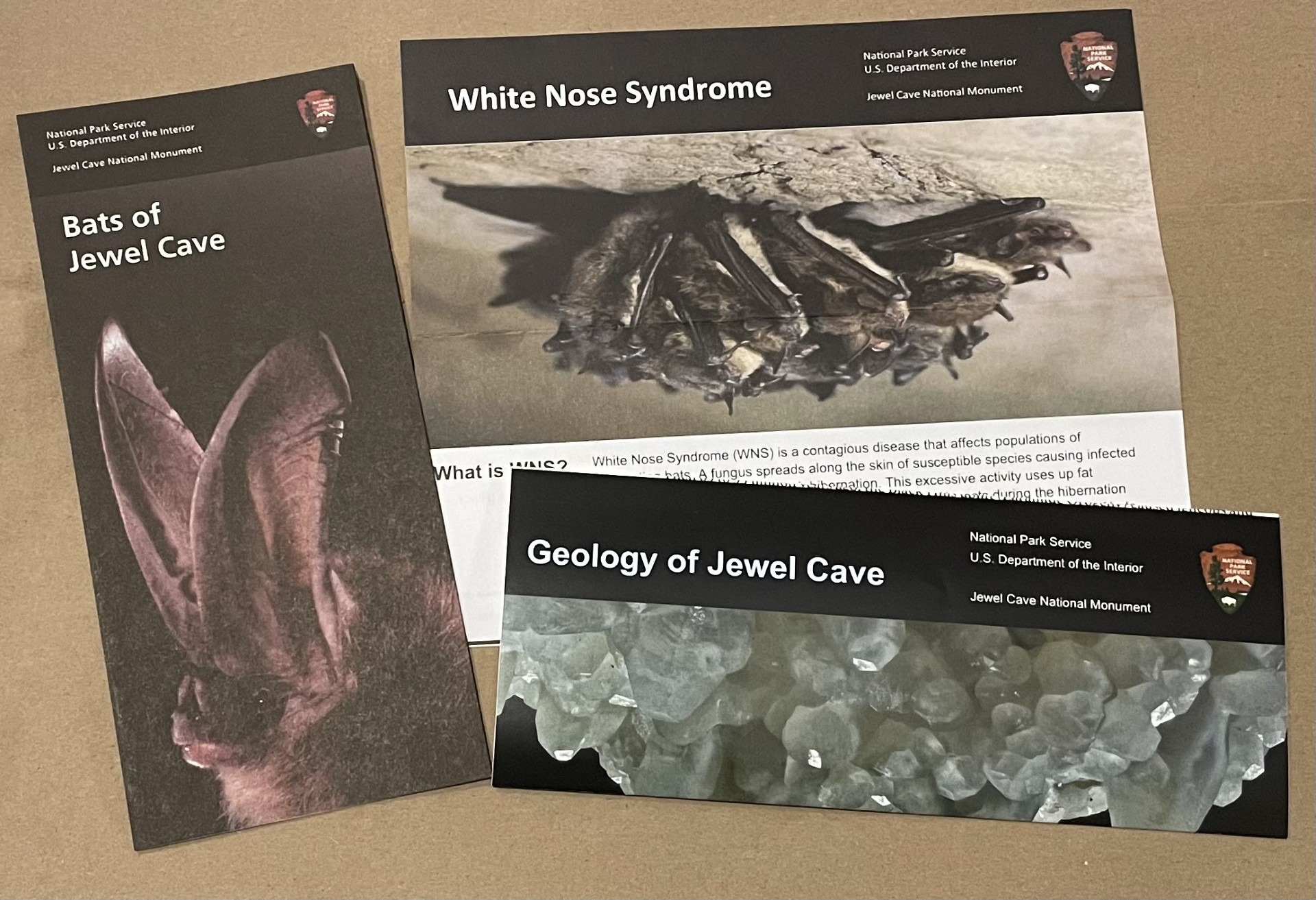 Three informational brochures from Jewel Cave National Monument laid out on a flat surface. The first brochure, titled 'Bats of Jewel Cave,' features a close-up image of a bat's head and ears in a dark, shadowy setting. The second brochure, titled 'White Nose Syndrome,' shows a group of bats roosting in a cave, highlighting a disease that affects bat populations. The third brochure, titled 'Geology of Jewel Cave,' displays an image of the cave's intricate crystal formations, focusing on the geological features of the cave. Each brochure features the National Park Service logo at the top right corner.