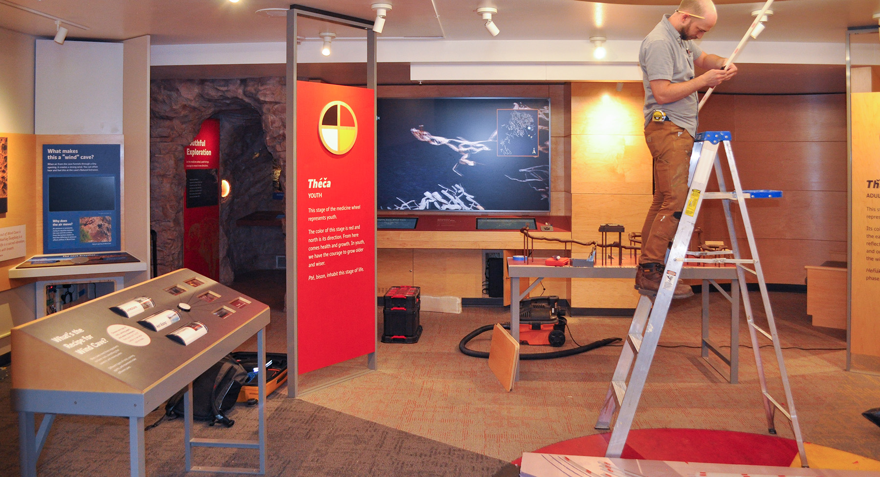 A worker stands on a ladder adjusting a display in a museum exhibit. The room features several interactive exhibits with informational panels about Wind Cave, including a red panel labeled "Théča - Youth" that explains a stage of the medicine wheel. To the left, there is an exhibit describing the cave's wind phenomenon. In the background, a video screen displays an image of cave formations. Various tools, including a toolbox and a vacuum, are on the floor, indicating ongoing setup or maintenance of the exhibit. The scene highlights the behind-the-scenes preparation of an educational space.