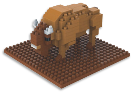 bison