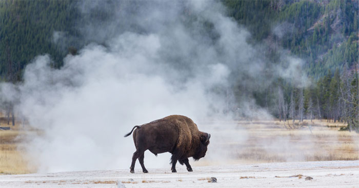 buffalo-2025-utc