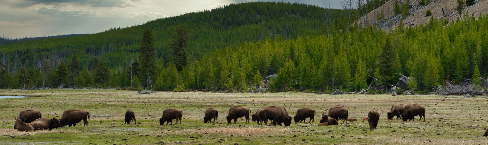 cloudy-dark-morning-at-yellowstone-national-park_2000
