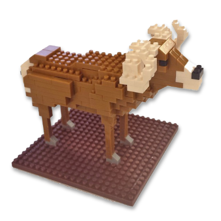 elk