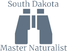 sdmn