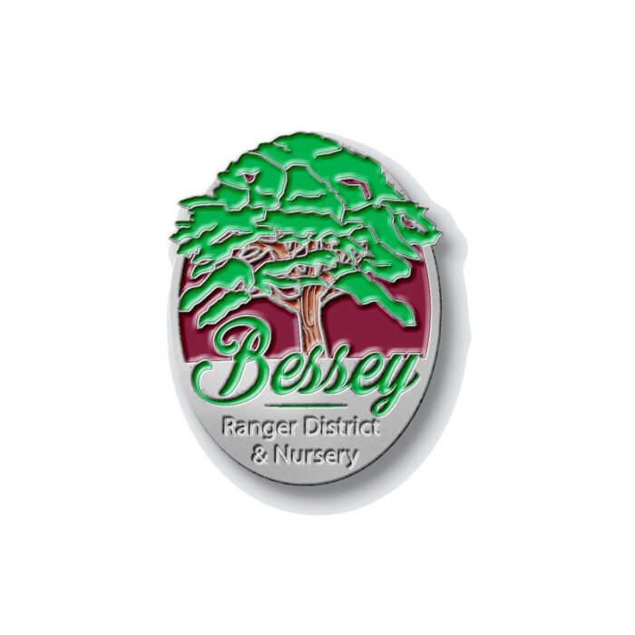 Bessey Ranger District and Nursery Pin