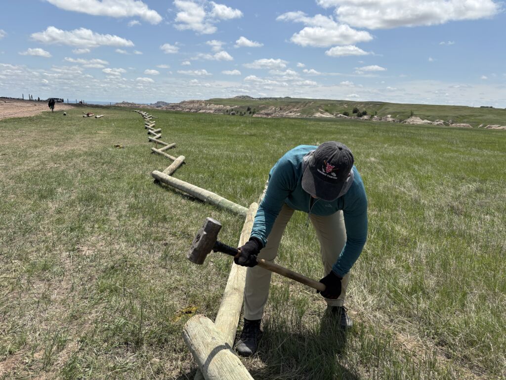A Wilderness Volunteer installs fencing at the Pinnacles camping area to define new designated sites and protect native wildflowers and prairie grasses.