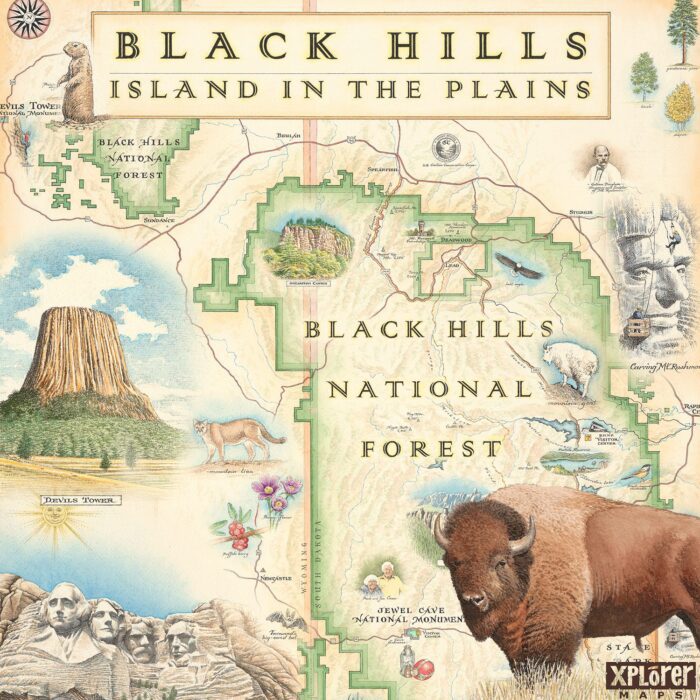 Black Hills Ceramic Coasters - Image 2