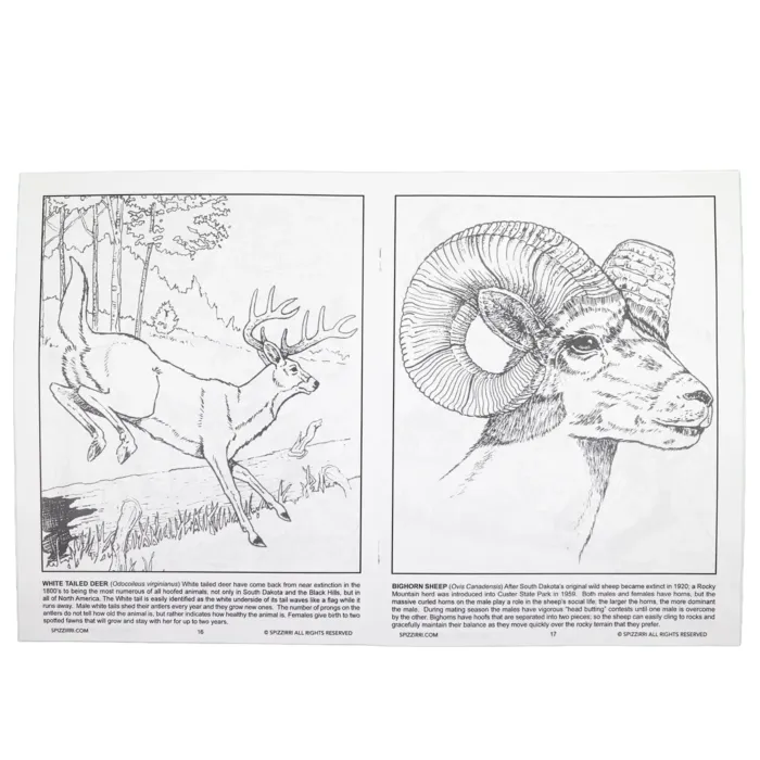 Two interior coloring pages. Left page shows a white-tailed deer leaping through a forest with species facts. Right page features a close-up illustration of a bighorn sheep head with educational text.