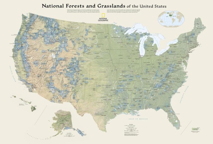 National Forests and Grasslands of the United States Map (National Geographic) - Image 3