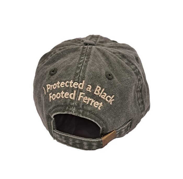 Black-Footed Ferret Protection Program - Image 3