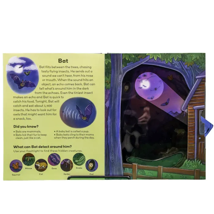 Left page shows an illustrated story about a bat. It describes how bats use echolocation to hunt flying insects and mentions that bats eat up to 1,400 insects a night. “Did You Know?” facts explain that bats are mammals, baby bats are called pups, and they cling to their mothers. The bottom row features small circular icons showing animals to find: squirrel, mouse, cat, dove, spider, snake, and owl. Right page shows a nighttime forest scene beside a barn. A bat flies through the moonlight while a flashlight beam reveals hidden animals, including a cow in the barn and several small creatures. A plastic insert allows children to move the light beam across the page to “find” animals.