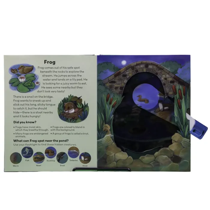 Left page features a story about a frog exploring a pond at night. The frog jumps onto a lily pad, looks for food like worms, and notices a stoat nearby. “Did You Know?” facts explain that frogs breathe through moist skin, some are endangered, and a group of frogs is called a knot. Icons along the bottom depict animals to find: worm, fish, newt, duckling, snail, tadpoles, and stoat. Right page shows a moonlit pond under a stone bridge. A flashlight beam reveals hidden creatures like a duck and other pond life. Children can move a plastic light beam to uncover these animals in the scene.