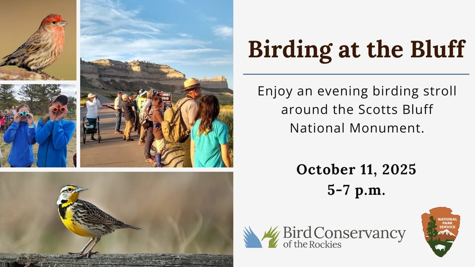 532927877_791982030153045_6321639692536212030_n Flyer for a birding event at Scotts Bluff National Monument. The right side has text reading: “Birding at the Bluff. Enjoy an evening birding stroll around the Scotts Bluff National Monument. October 11, 2025, 5–7 p.m.” Logos for the Bird Conservancy of the Rockies and the National Park Service appear at the bottom. The left side shows four photos: a small red bird perched on a branch, two children looking through binoculars, a group of people with binoculars gathered on a paved path at the base of the bluffs, and a yellow-breasted meadowlark standing in grass.