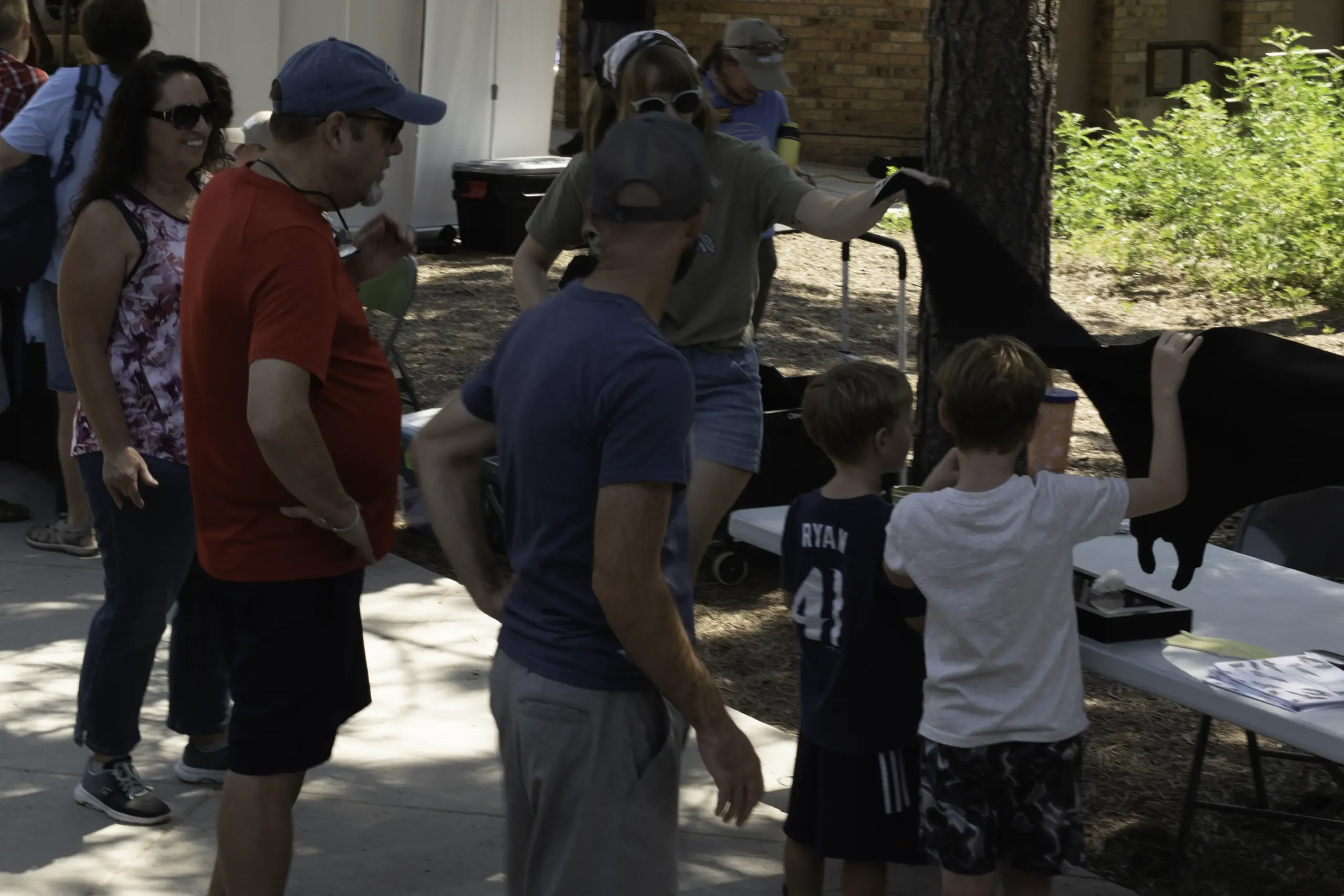 Children and families explore a bat-themed activity table during Junior Caver Day at Jewel Cave.