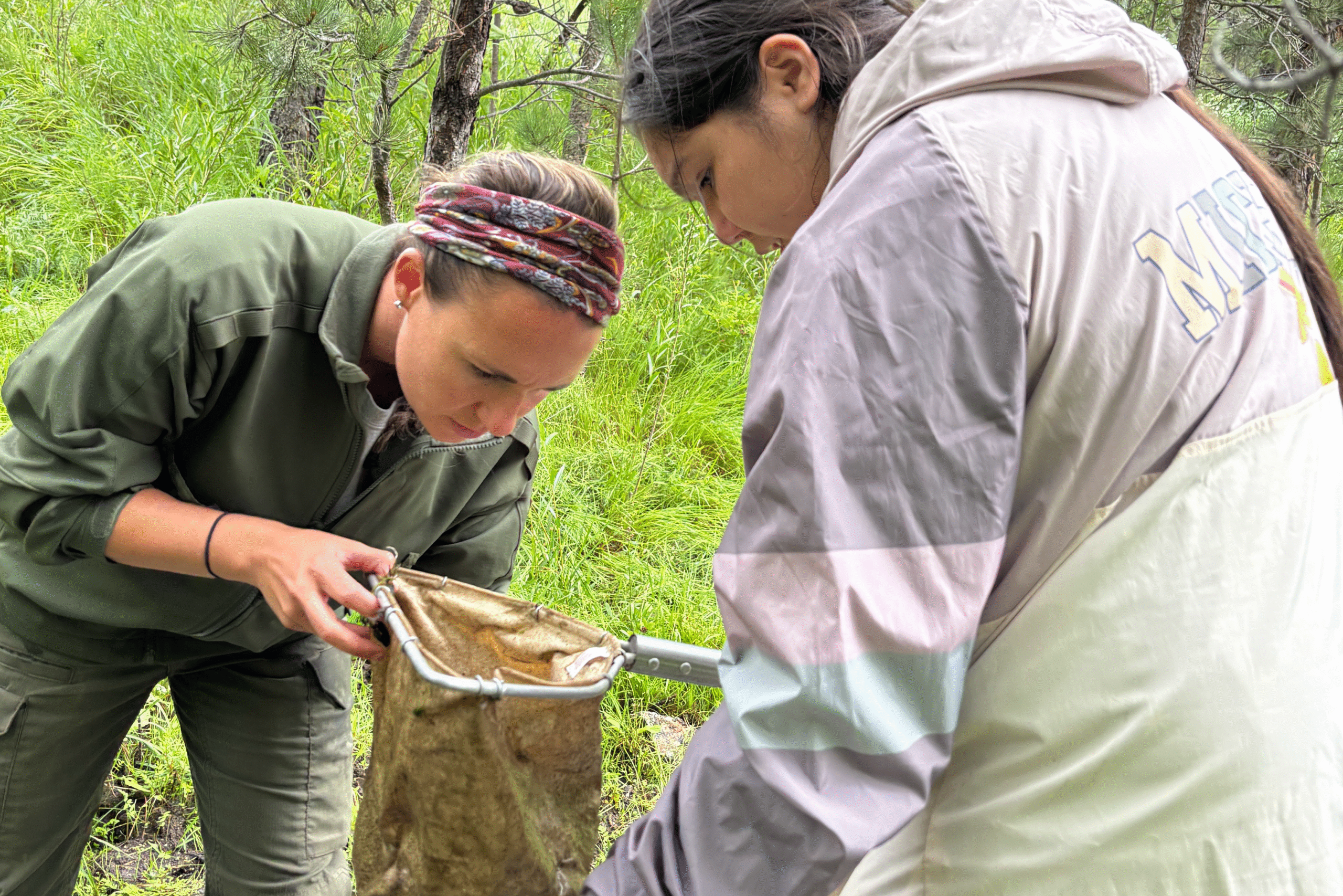 An educator and a teen examine aquatic samples in a net during a citizen science project at Wind Cave National Park.
