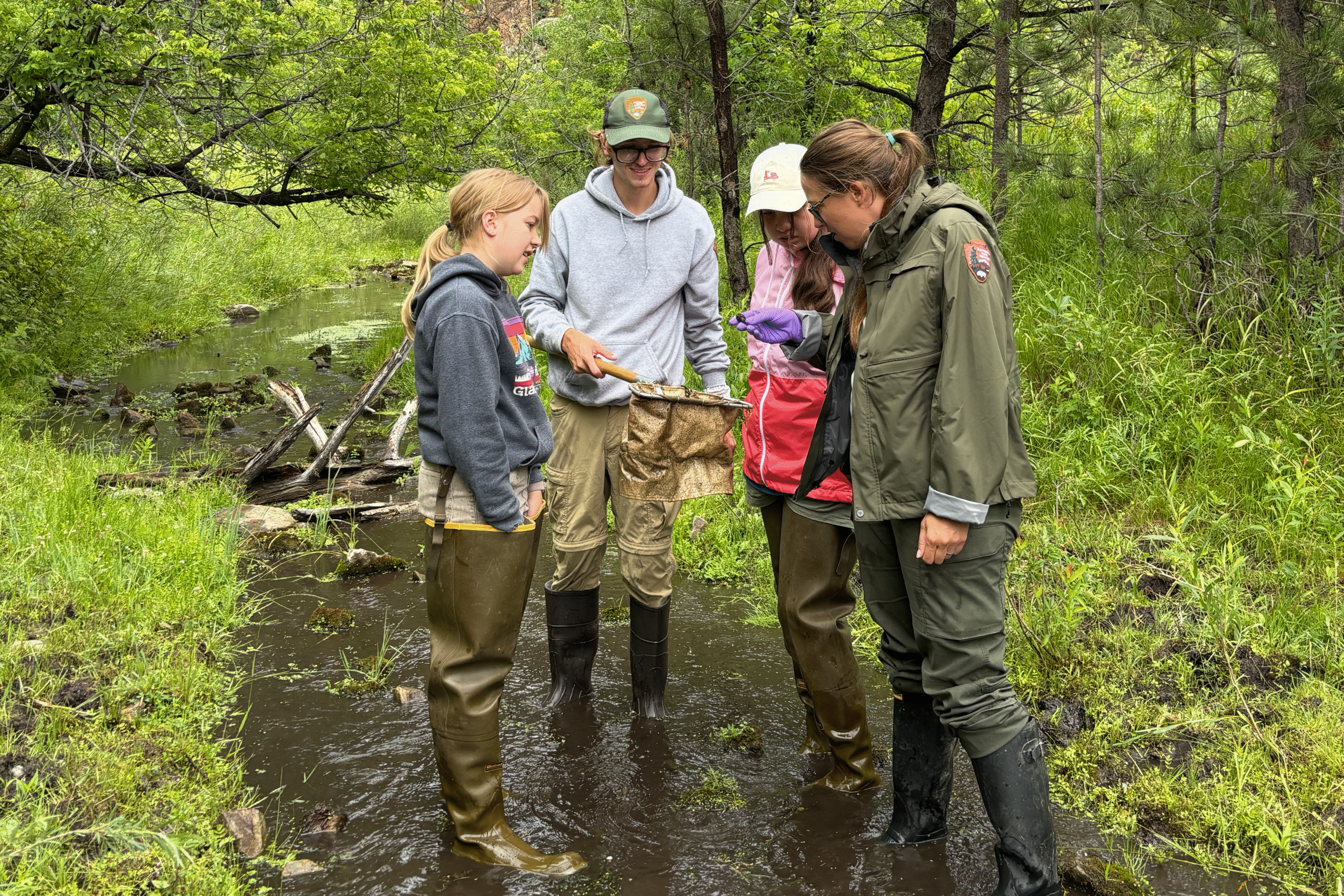 mailchimp dragonfly 2 Four participants and a ranger stand in a stream, examining a net of aquatic insects during a citizen science field project.