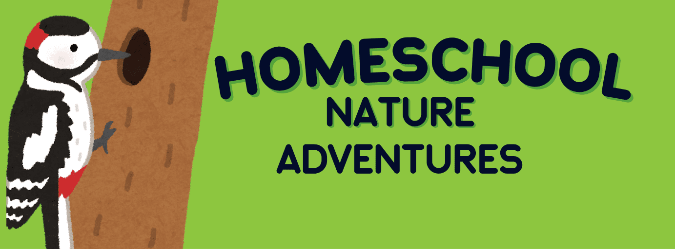 Nature Adventures