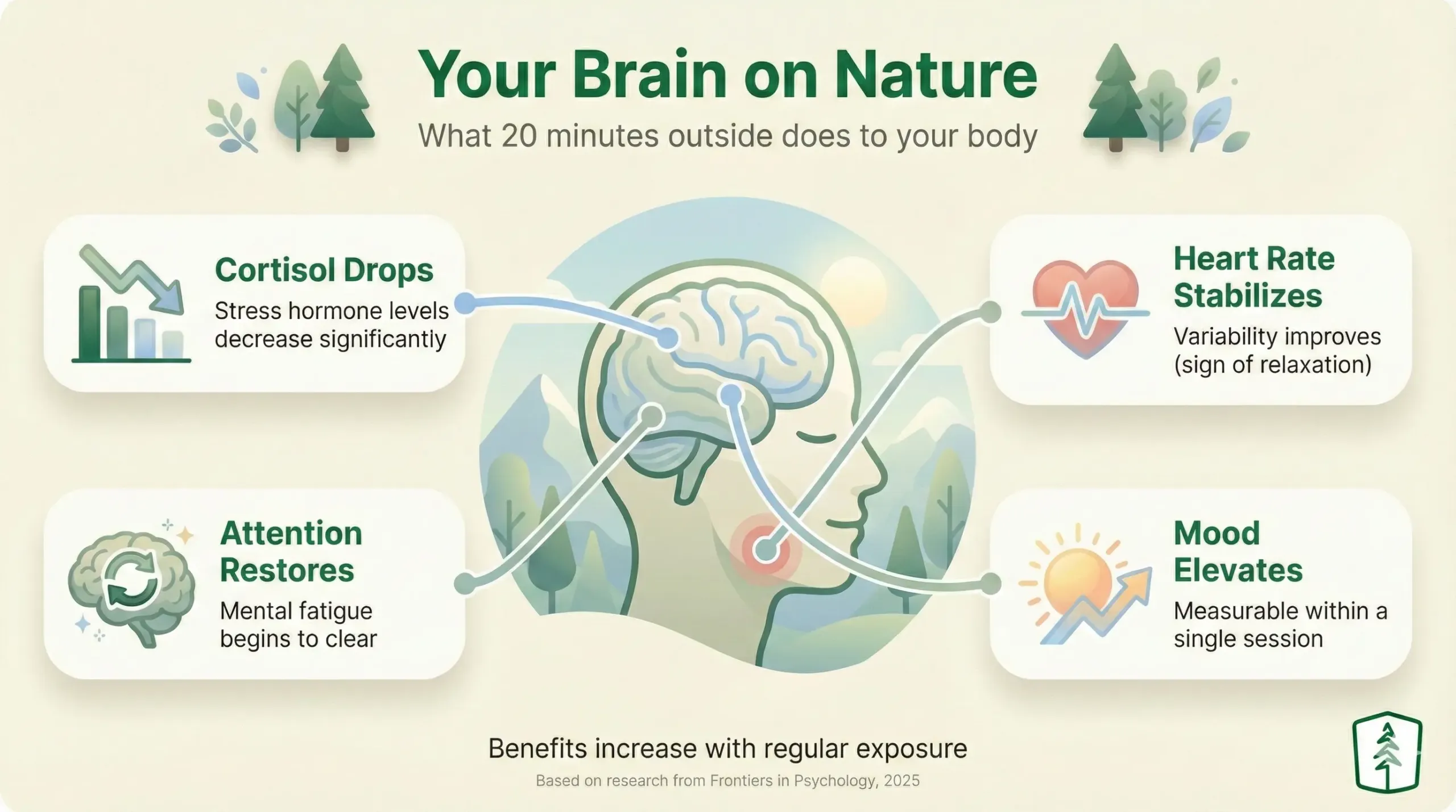 Infographic showing what 20 minutes outside does to your brain: reduces cortisol, improves heart rate variability, restores attention, elevates mood