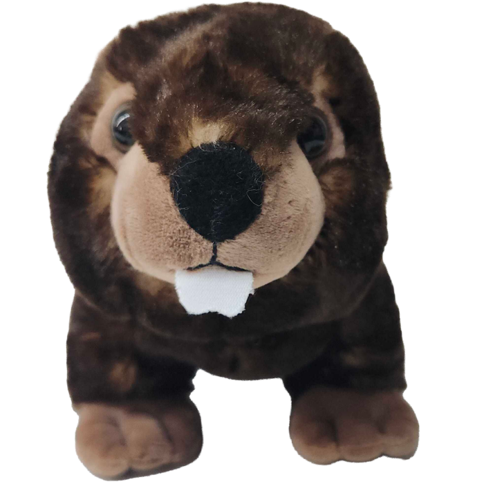 Bark the Beaver plush, front-facing view showing characteristic beaver buck teeth
