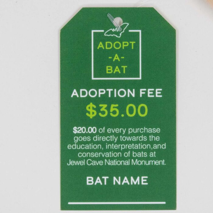 Front of the green Adopt-A-Bat tag showing the $35 adoption fee and support for bats at Jewel Cave National Monument.