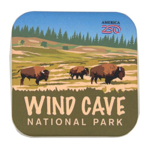 America 250 Wind Cave National Park magnet, front with bison