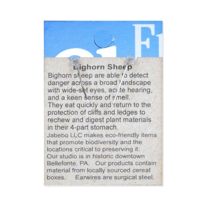 Back of the Jabebo Studio bighorn sheep earrings card, with facts about the bighorn sheep; earrings are recycled paperboard with surgical-steel earwires.