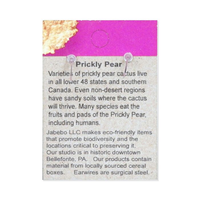Back of the Jabebo Studio prickly pear cactus earrings card, with facts about the prickly pear cactus; earrings are recycled paperboard with surgical-steel earwires.