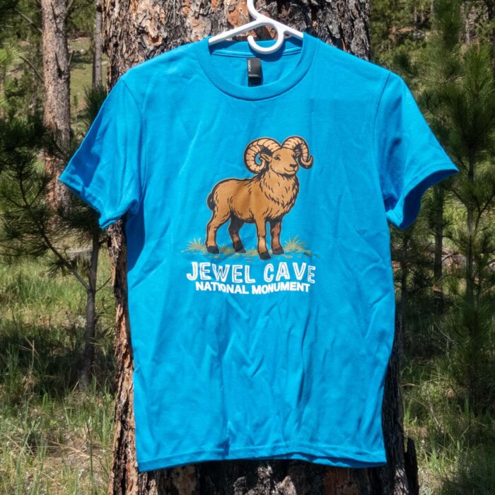 Bright blue Jewel Cave youth bighorn t-shirt on a hanger in a ponderosa pine forest, front view