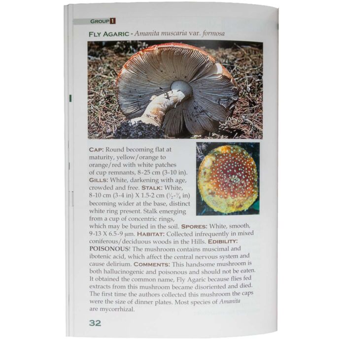 Interior page from Mushrooms and Other Fungi of the Black Hills showing a Fly Agaric species entry with color photographs and identification details