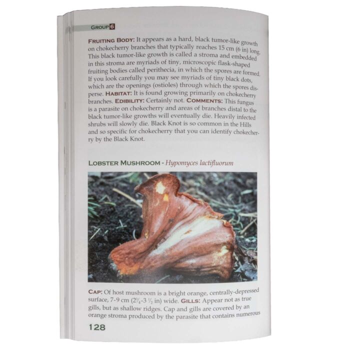 Interior page from Mushrooms and Other Fungi of the Black Hills showing a Lobster Mushroom species entry with color photograph and habitat description