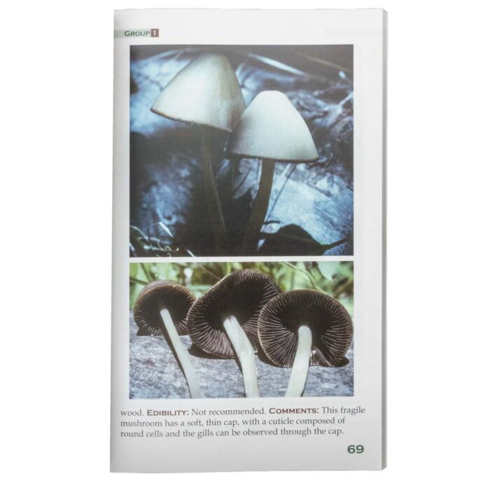 Interior page from Mushrooms and Other Fungi of the Black Hills showing mushroom photographs with detailed cap and gill views