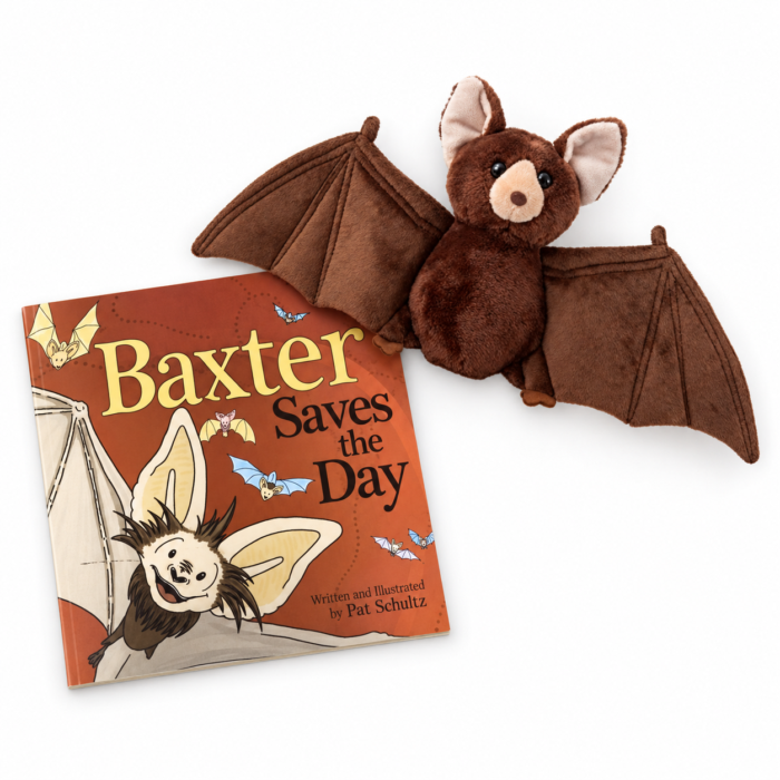Baxter book and bat plush bundle shown in a flat lay